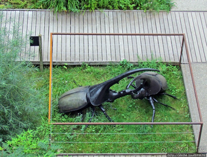 Зоопарк в цитадели Безансона