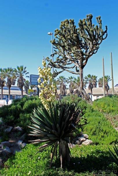 Аллея влюбленных