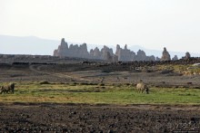Феномены природы. "Дымоходы" озера Лак Аббе