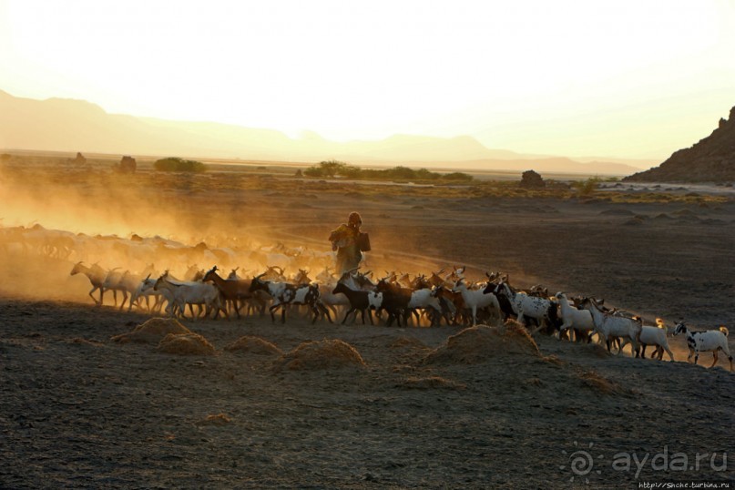 Феномены природы. "Дымоходы" озера Лак Аббе