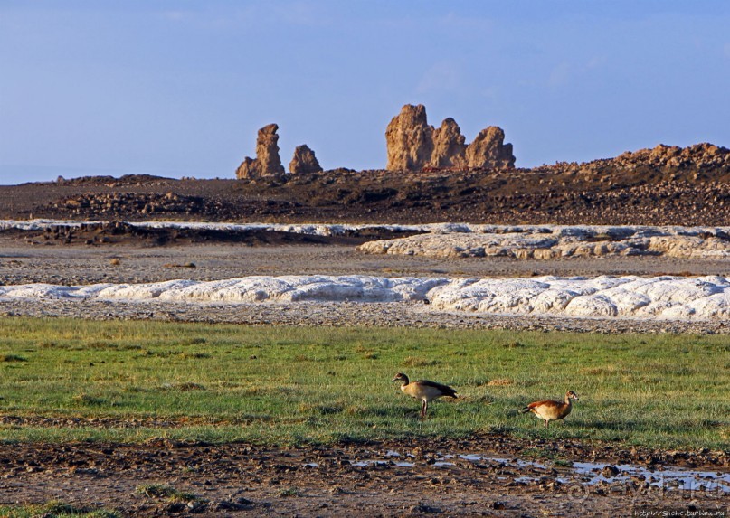 Феномены природы. "Дымоходы" озера Лак Аббе