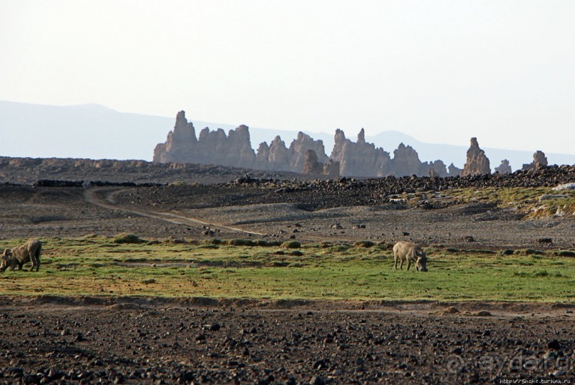 Феномены природы. "Дымоходы" озера Лак Аббе