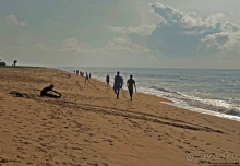 Пляжи в Того. Субботние купания местных