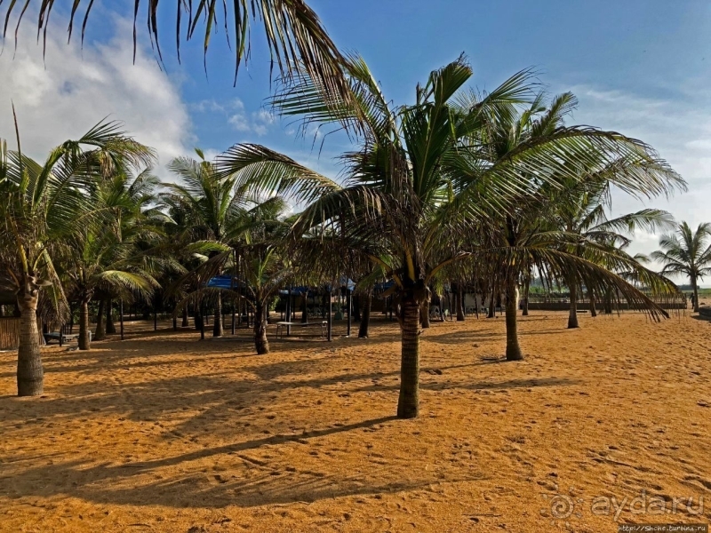 Пляжи в Того. Субботние купания местных