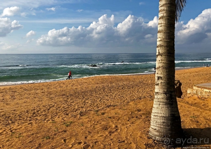 Пляжи в Того. Субботние купания местных