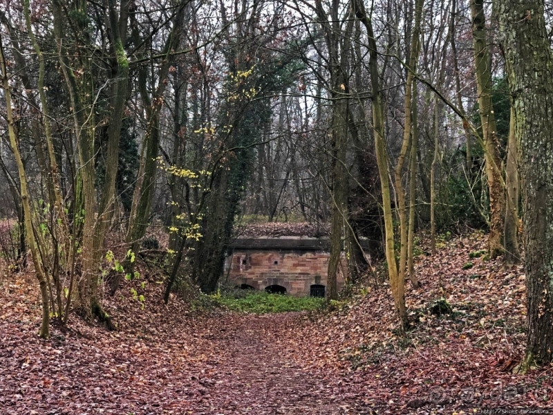 Альбом истории "Неожиданные открытия. Fort Joffre Lefebvre близ Страсбурга"