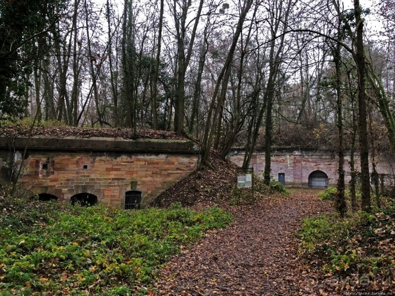Неожиданные открытия. Fort Joffre Lefebvre близ Страсбурга