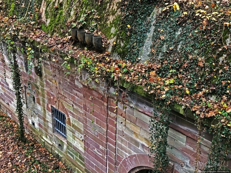 Неожиданные открытия. Fort Joffre Lefebvre близ Страсбурга