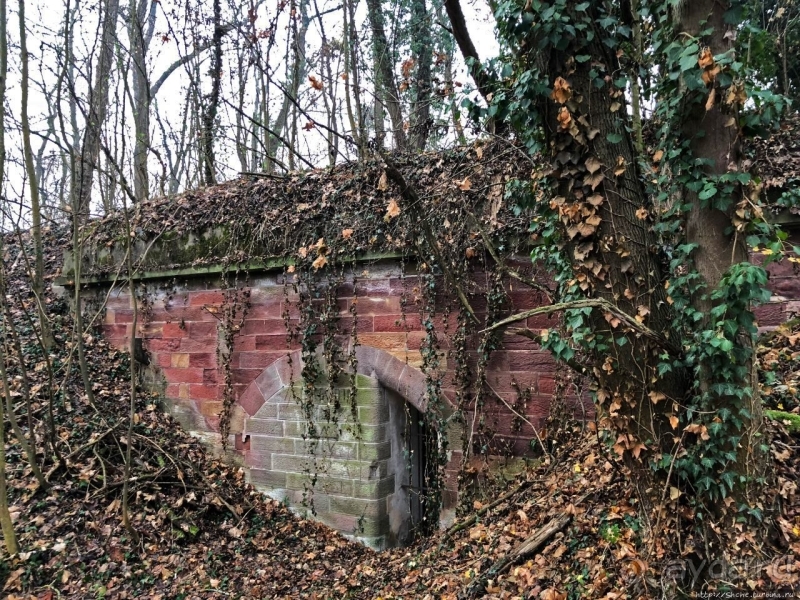 Неожиданные открытия. Fort Joffre Lefebvre близ Страсбурга