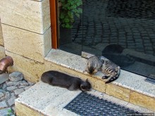 Короткое знакомство с Великим Тырново