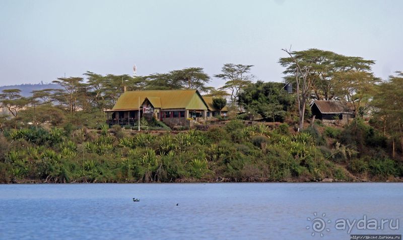 "Бурная" Найваша — одно из озер Великой рифтовой долины