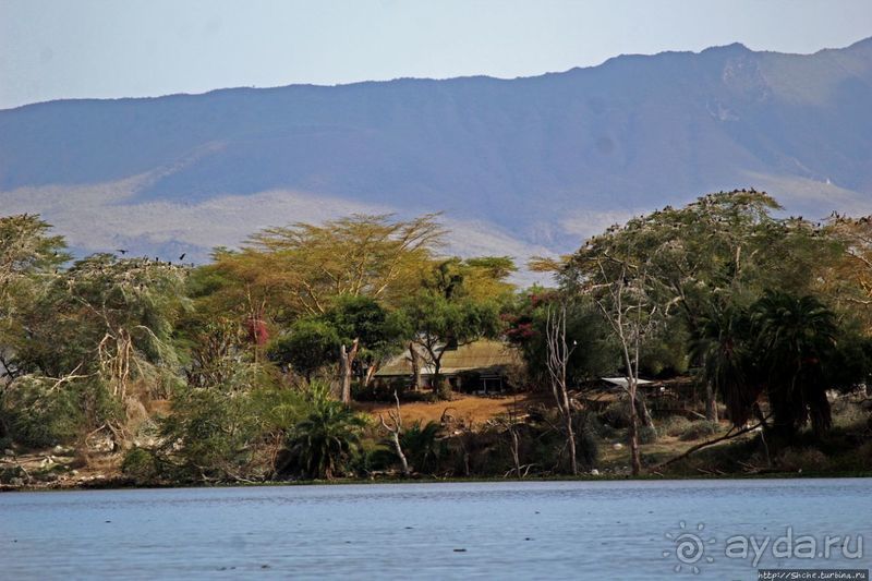 "Бурная" Найваша — одно из озер Великой рифтовой долины