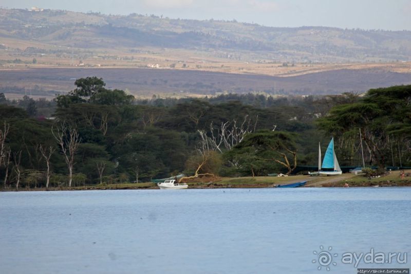 "Бурная" Найваша — одно из озер Великой рифтовой долины