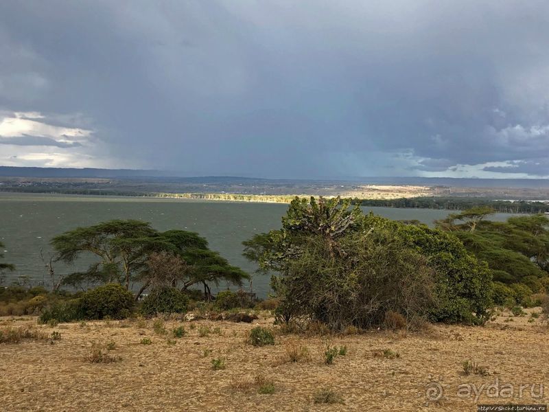 "Бурная" Найваша — одно из озер Великой рифтовой долины