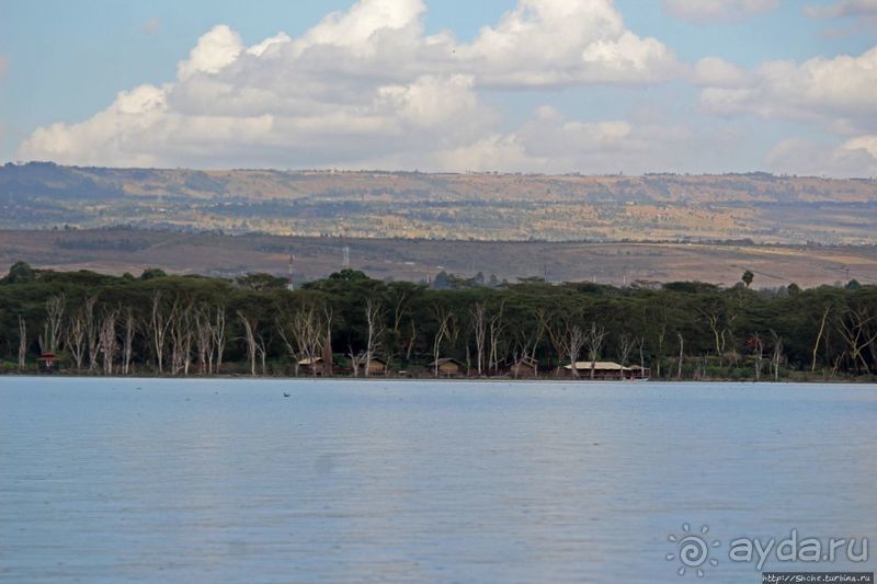"Бурная" Найваша — одно из озер Великой рифтовой долины