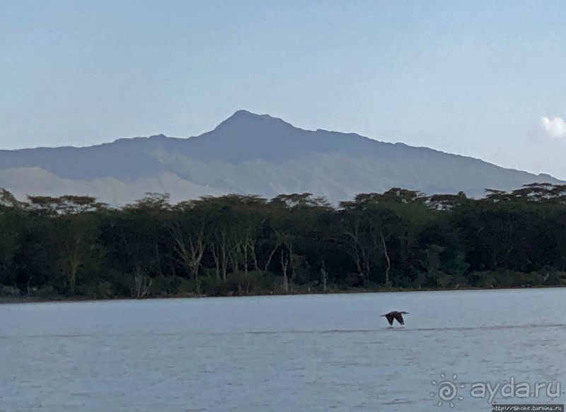 "Бурная" Найваша — одно из озер Великой рифтовой долины