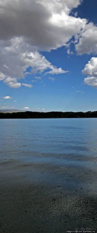 "Бурная" Найваша — одно из озер Великой рифтовой долины