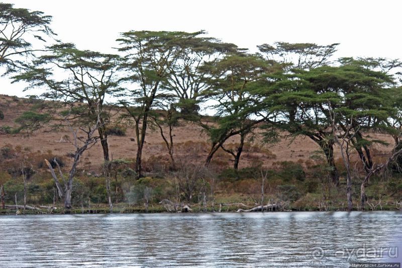 "Бурная" Найваша — одно из озер Великой рифтовой долины