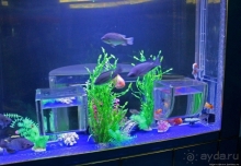 Предмет гордости КНДР — детский лагерь со своим океанариумом Азия → КНДР → Вонсан