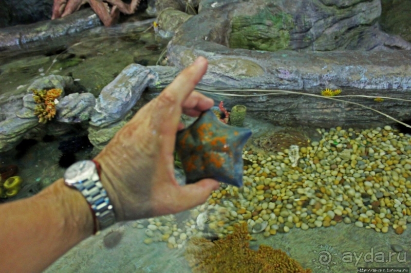 Предмет гордости КНДР — детский лагерь со своим океанариумом Азия → КНДР → Вонсан