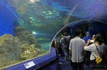 Предмет гордости КНДР — детский лагерь со своим океанариумом Азия → КНДР → Вонсан