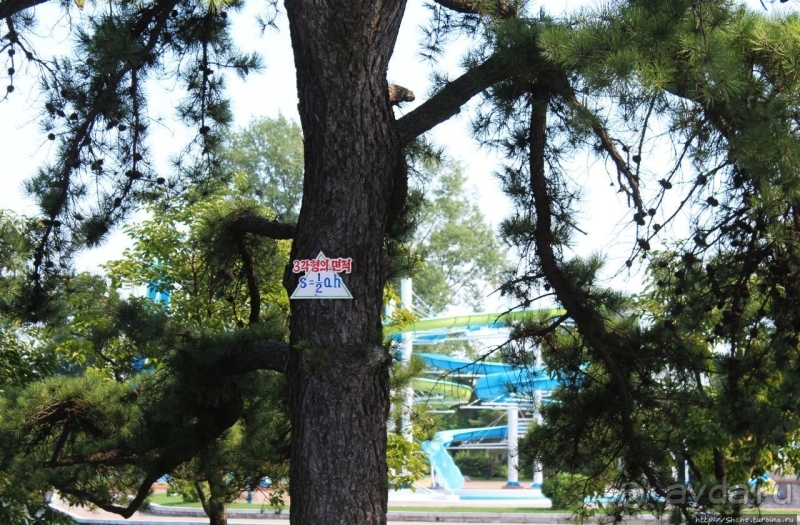 Предмет гордости КНДР — детский лагерь со своим океанариумом Азия → КНДР → Вонсан