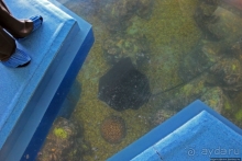 Предмет гордости КНДР — детский лагерь со своим океанариумом Азия → КНДР → Вонсан