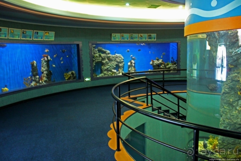 Предмет гордости КНДР — детский лагерь со своим океанариумом Азия → КНДР → Вонсан