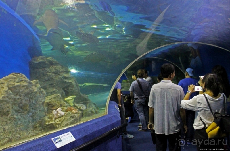 Предмет гордости КНДР — детский лагерь со своим океанариумом Азия → КНДР → Вонсан