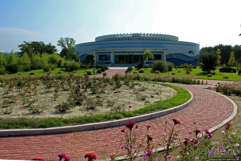 Предмет гордости КНДР — детский лагерь со своим океанариумом Азия → КНДР → Вонсан