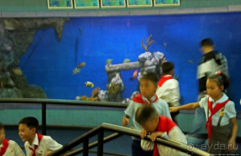 Предмет гордости КНДР — детский лагерь со своим океанариумом Азия → КНДР → Вонсан