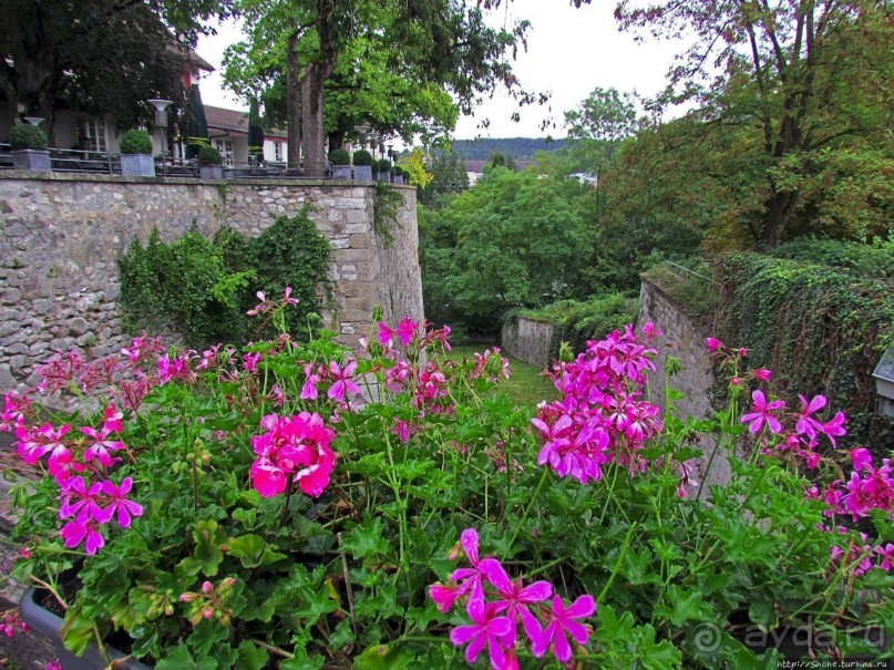 Над Рейном могучим стоит, чуть заметный, на горном утесе