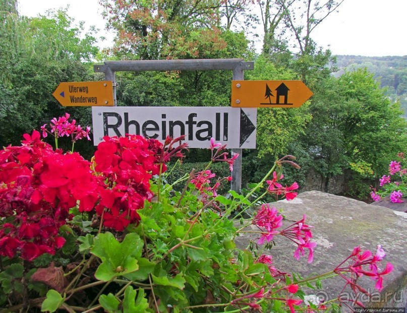 Над Рейном могучим стоит, чуть заметный, на горном утесе