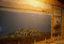 Взглянуть на почти 2500-летний корабль, не погружаясь в море