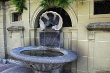 Старый Берн за пять часов