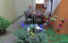 Альбом отзыва "CuLinar caffe — на всех языках "вкусно", а здесь еще дешево"