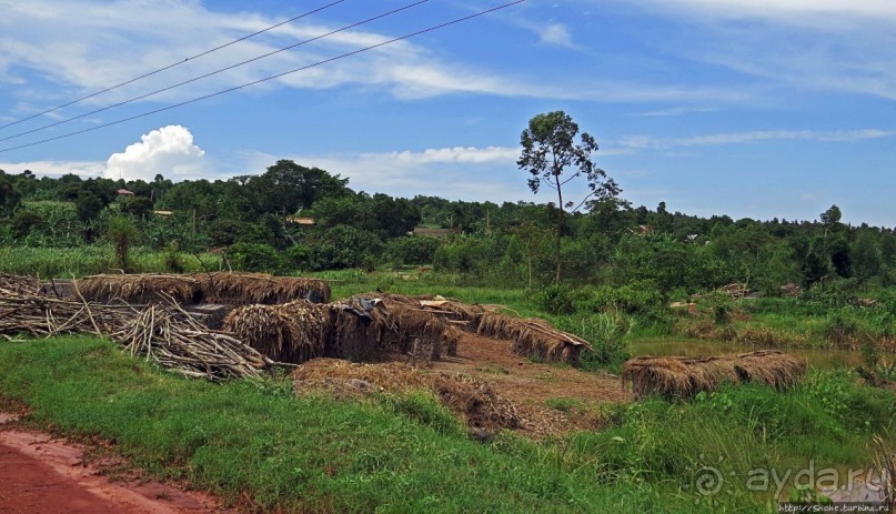 За окном — Угандщина
