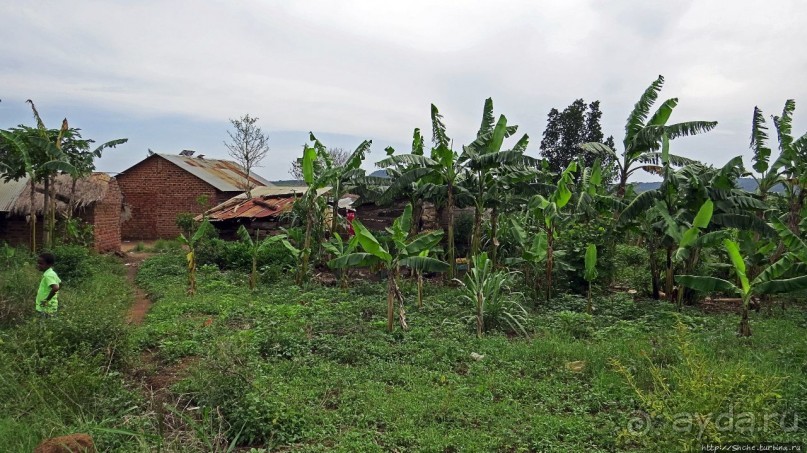 За окном — Угандщина