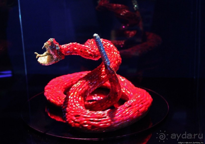 В гостях у Радуги. Встреча с современным искусством