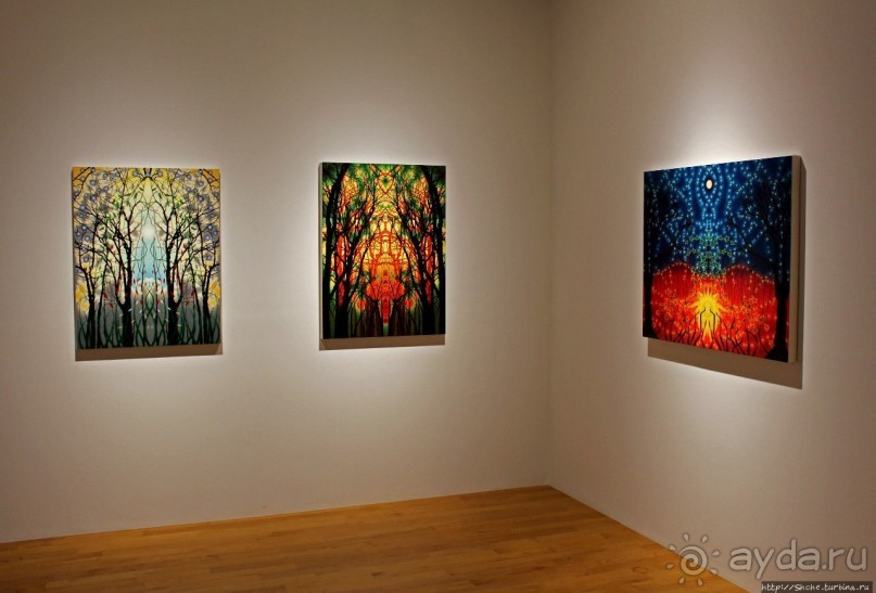 В гостях у Радуги. Встреча с современным искусством