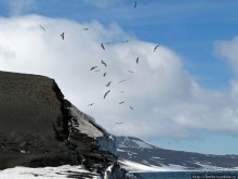 Deception Island — прогулка по кратеру в районе Telefon bay
