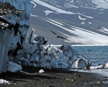 Deception Island — прогулка по кратеру в районе Telefon bay