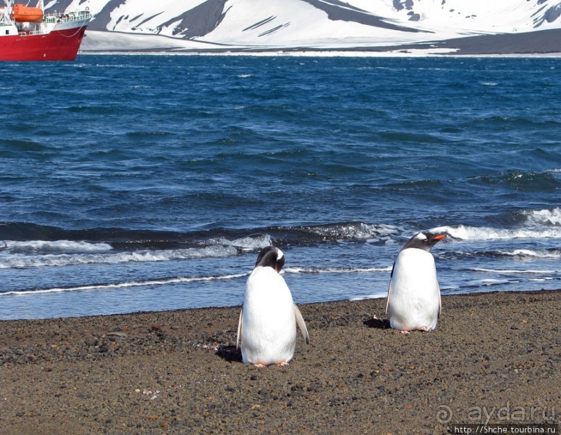 Deception Island — прогулка по кратеру в районе Telefon bay