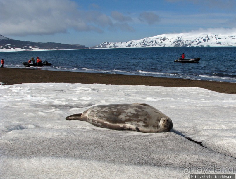 Deception Island — прогулка по кратеру в районе Telefon bay