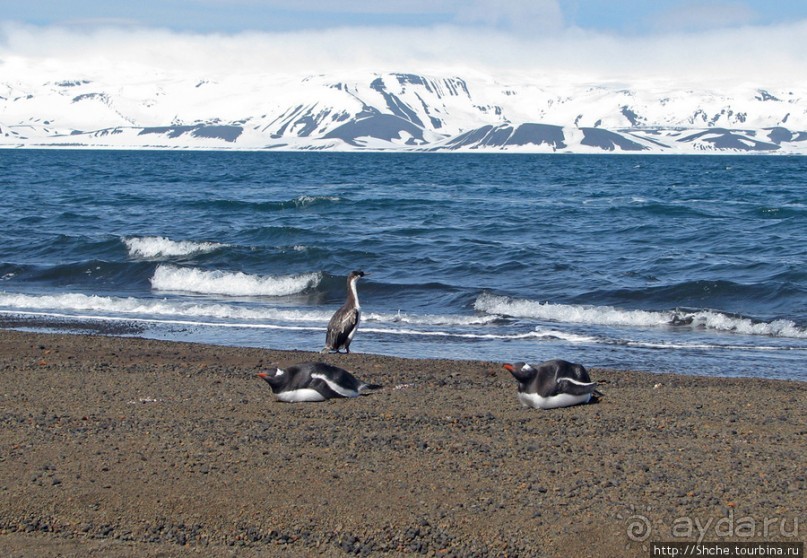 Deception Island — прогулка по кратеру в районе Telefon bay