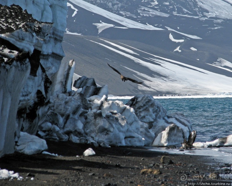 Deception Island — прогулка по кратеру в районе Telefon bay