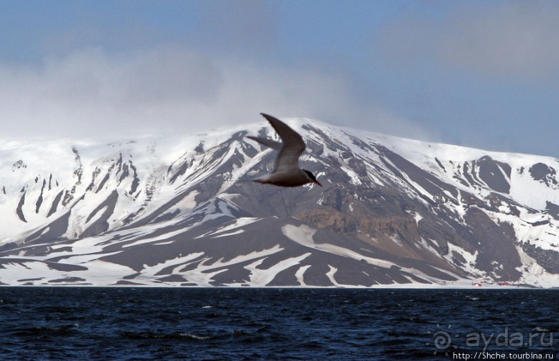 Deception Island — прогулка по кратеру в районе Telefon bay