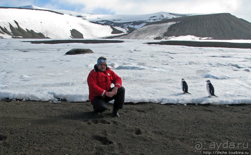 Deception Island — прогулка по кратеру в районе Telefon bay