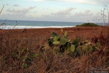 В погоне за закатом на Каена Поинт (Ka`ena Point)