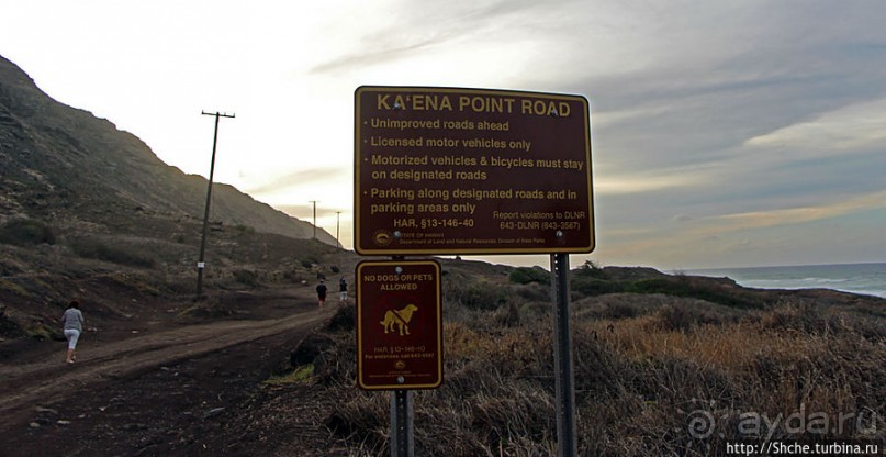 В погоне за закатом на Каена Поинт (Ka`ena Point)